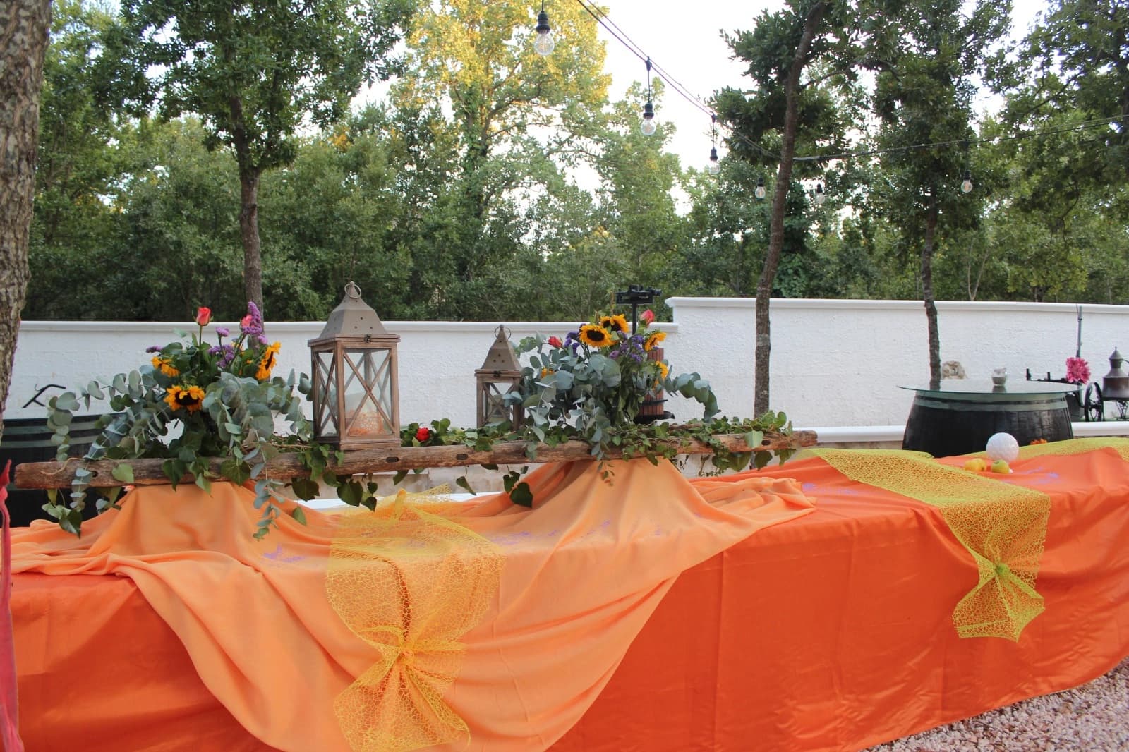 Galerie Dimora Plantone 28