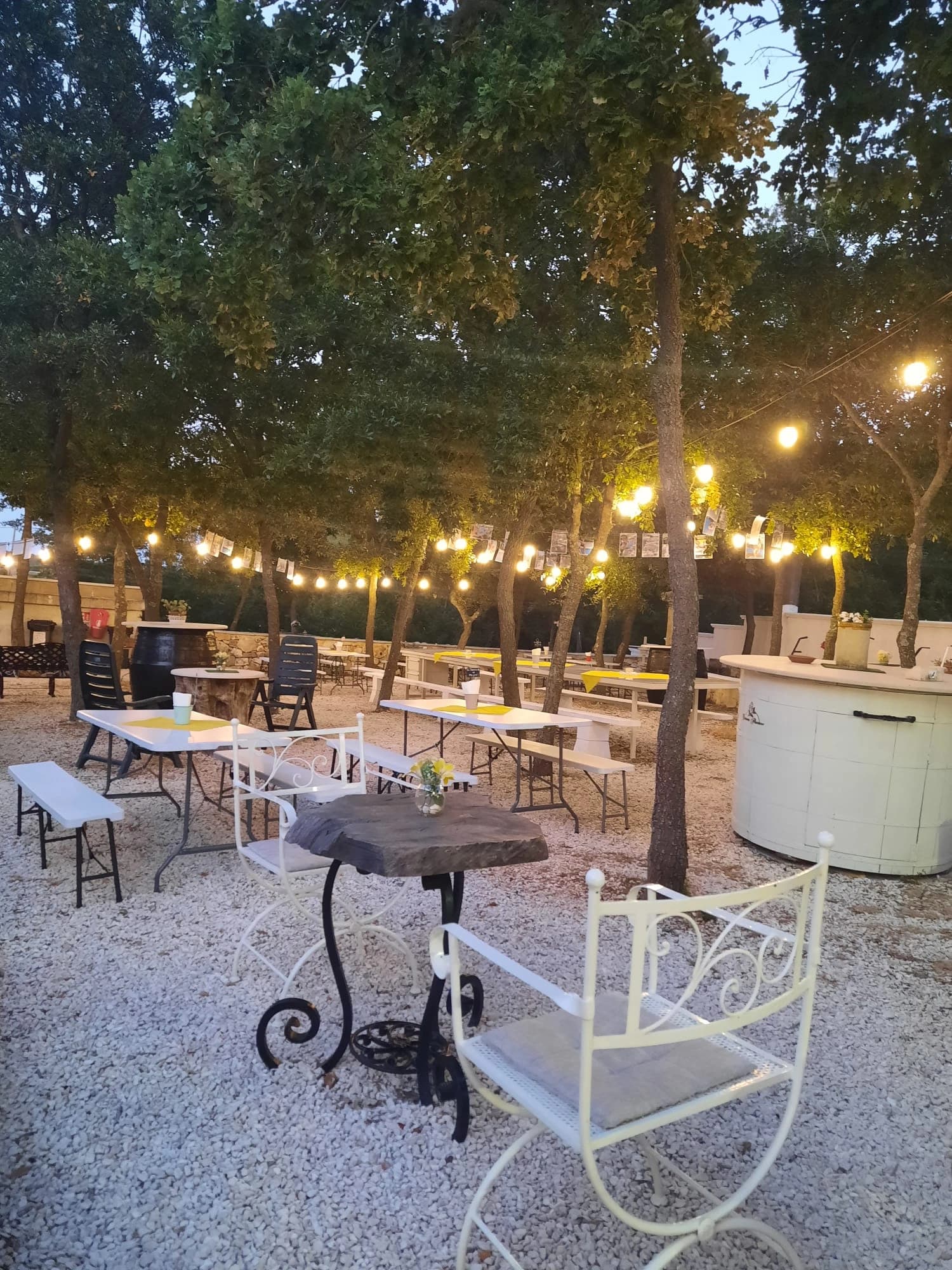 Galerie Dimora Plantone 30