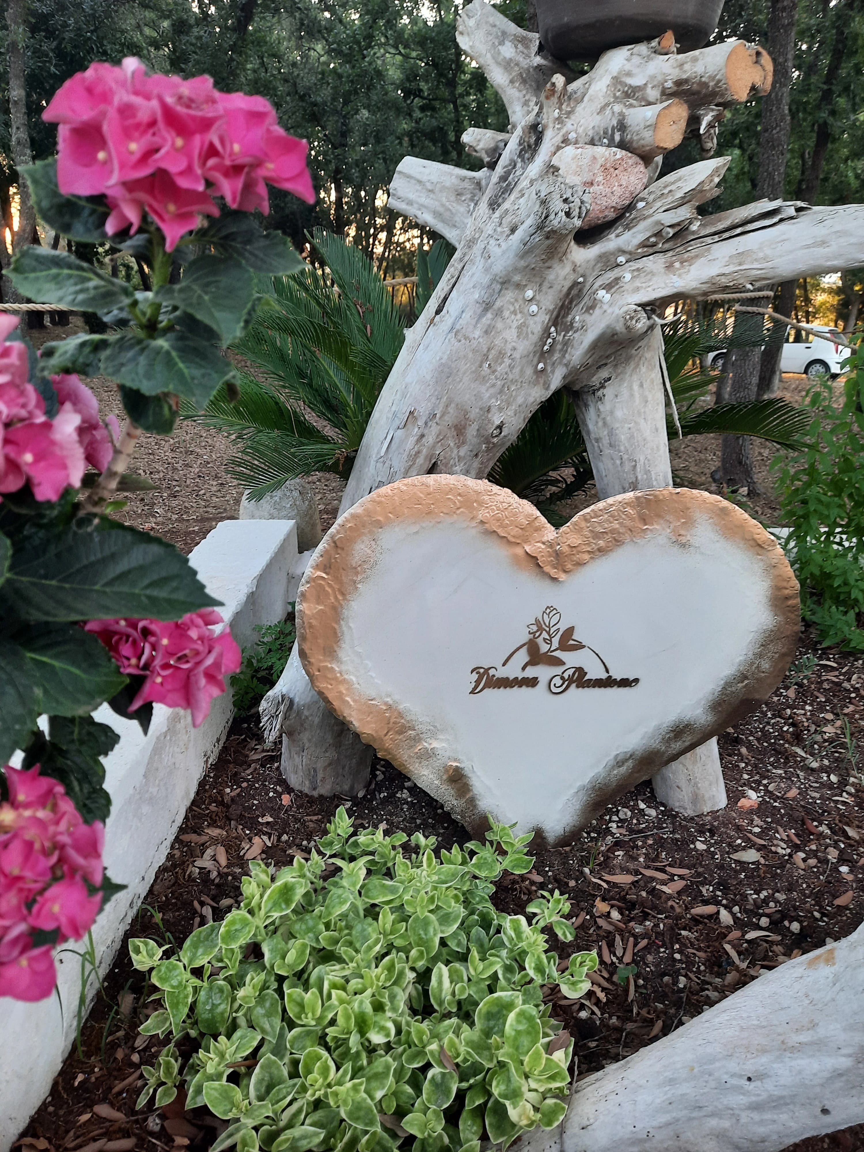 Dimora Plantone gallery 4